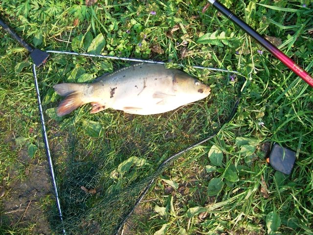 --���� - ������� (����������)