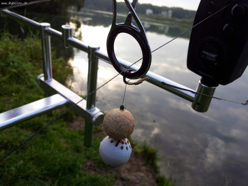 --Carpela Cont - ������� (����������)