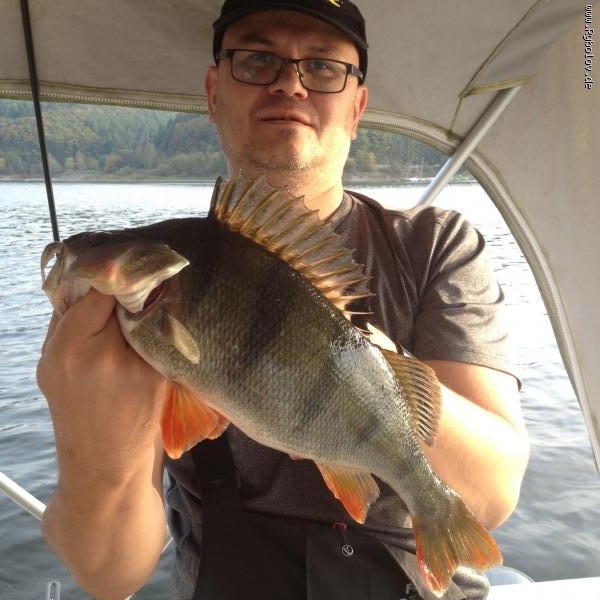 --edersee 05.10.14 -  ()