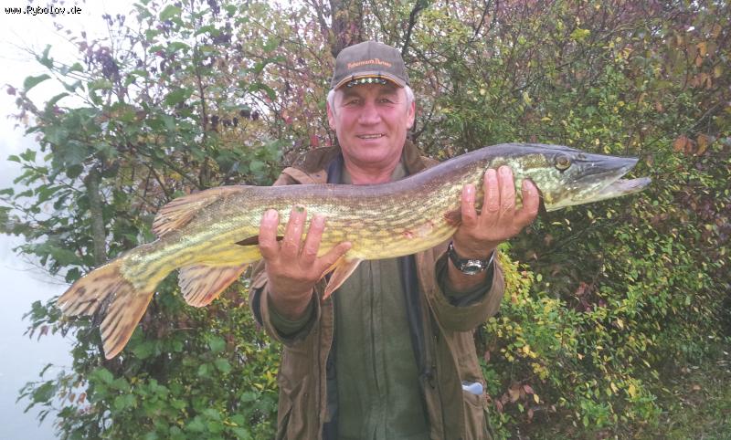 --���� 4 �� 85 �� - ������� (����������)