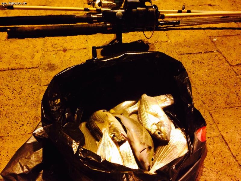 --������� �� ���� - ������� (����������)