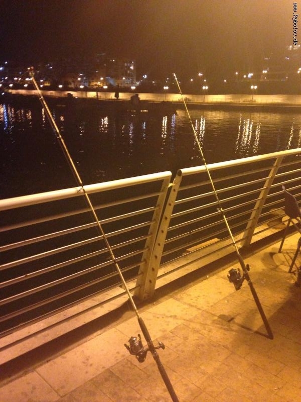 --������� �� ����. - ������� (����������)