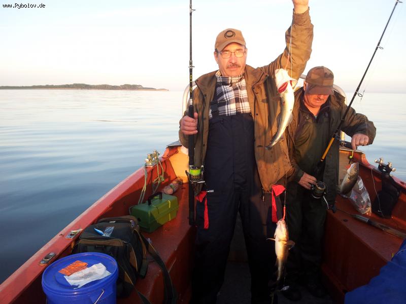 --Langeland Dänemark - ������� (����������)