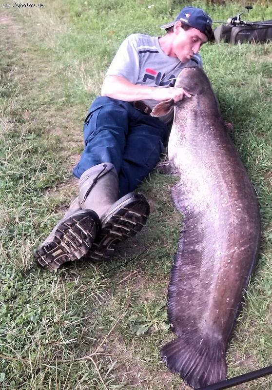 --��� �� ��������. - ������� (����������)