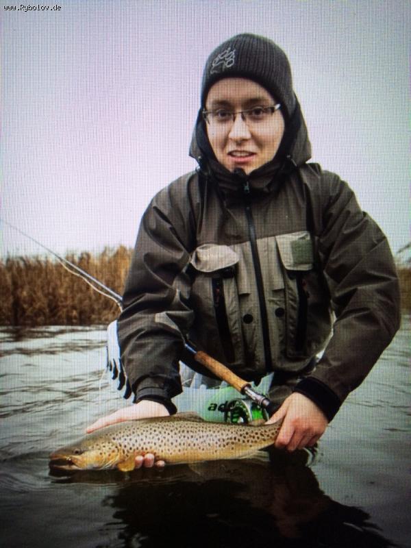 --����� - ������� (����������)