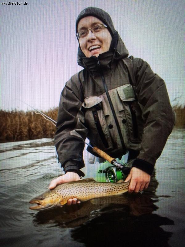 --����� - ������� (����������)