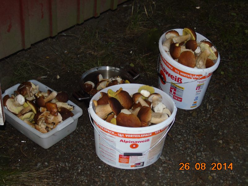 --������� - ������� (����������)