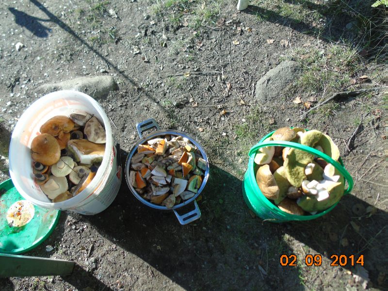 --������� - ������� (����������)