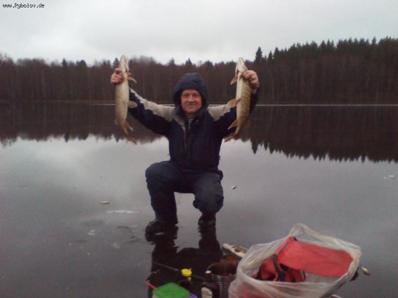 --����� - ������� (����������)