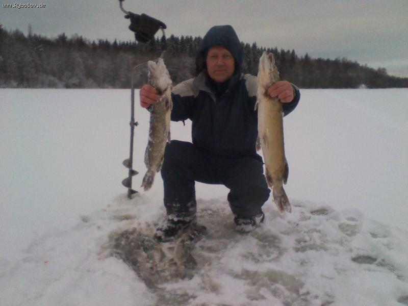 --���� - ������� (����������)