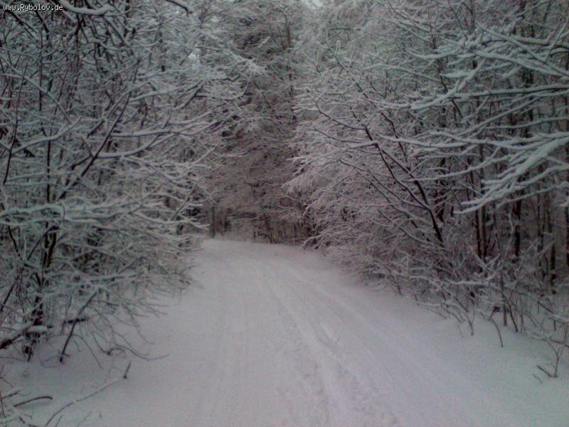 --������ �� ����� - ������� (����������)