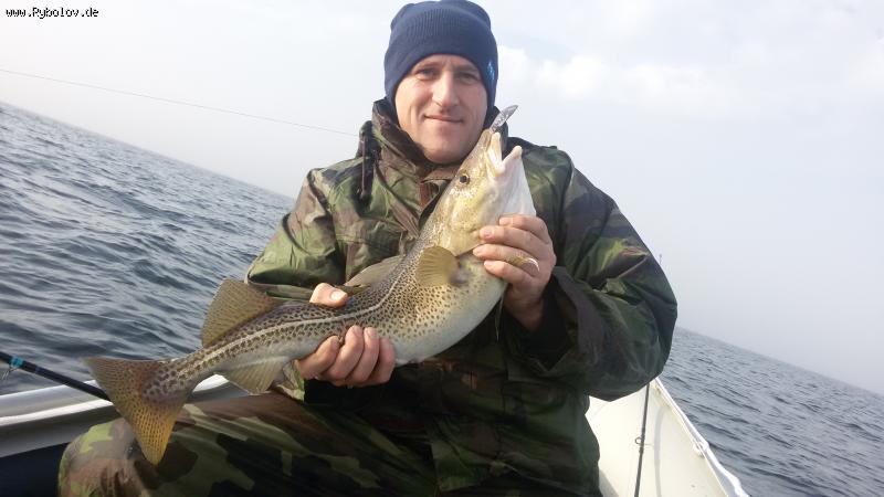 --ostsee 2014.11.01. - ������� (����������)