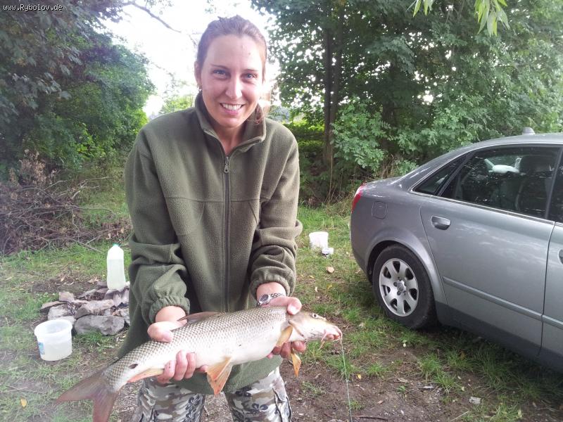 --���� ������� - ������� (����������)