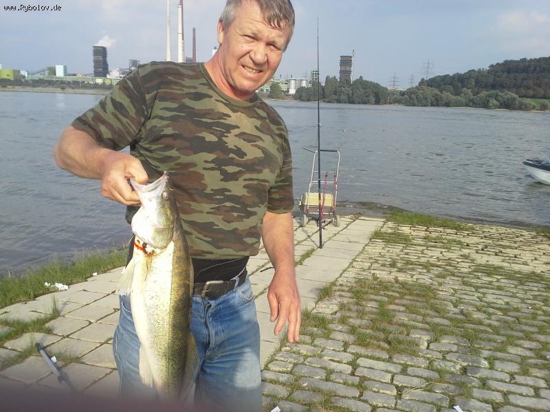 --���������� ������� 2014 - ������� (����������)