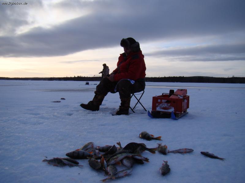 -- 17-24. 01.2015. . -  ()