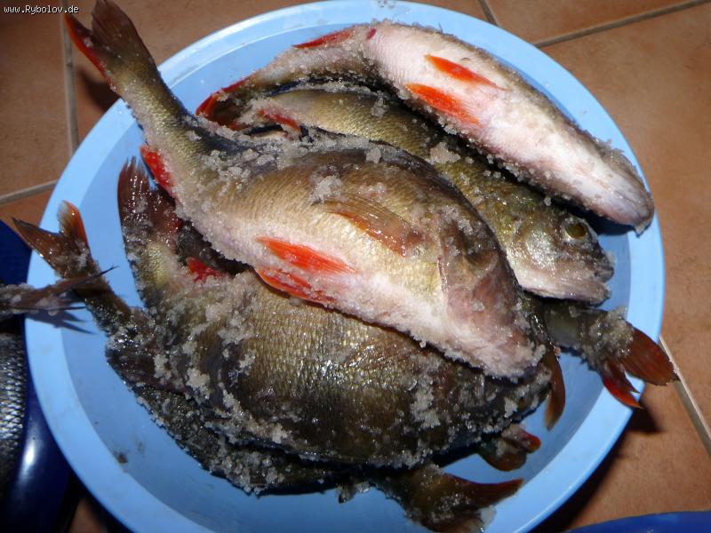 -- 17-24. 01.2015. ������. - ������� (����������)