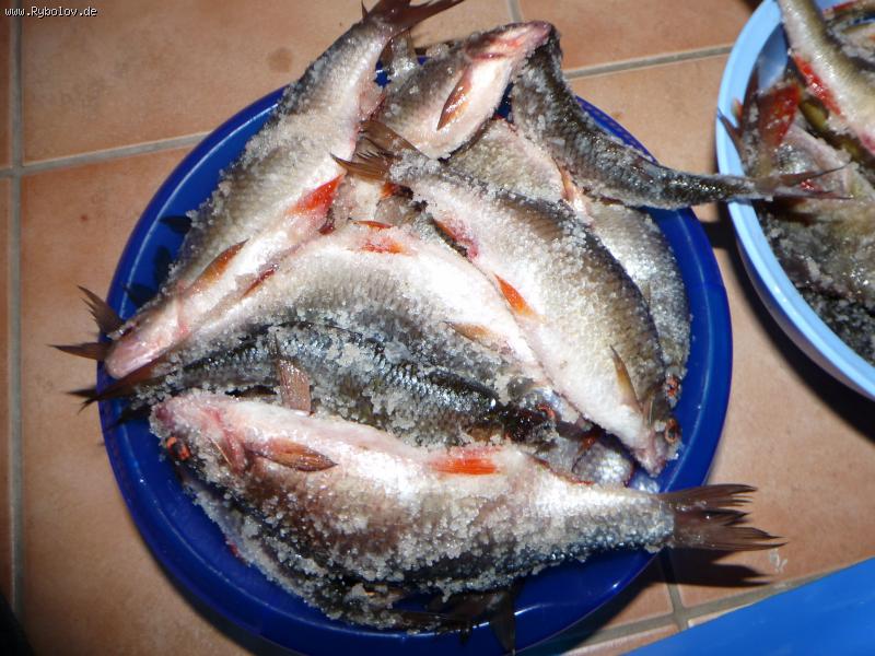 -- 17-24. 01.2015. ������. - ������� (����������)