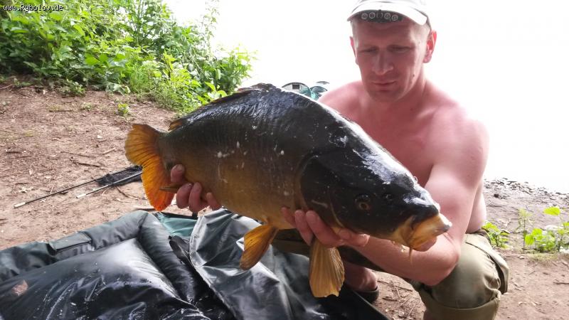 --5 - ������� (����������)