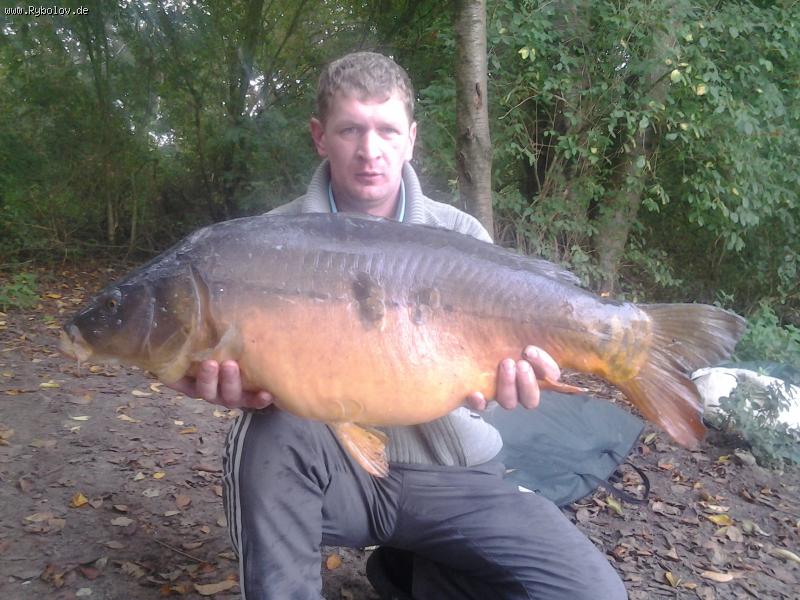 --6 - ������� (����������)