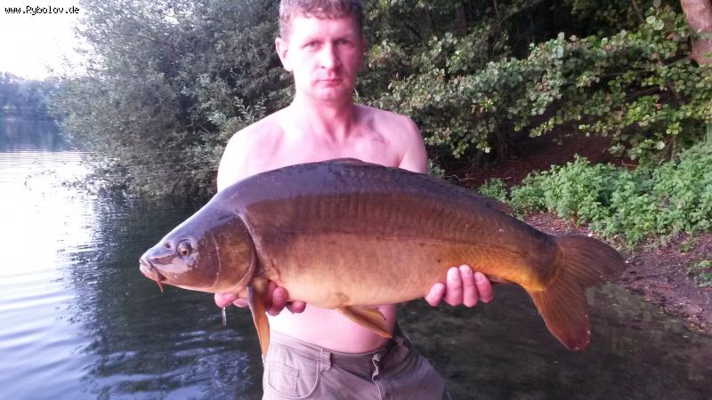 --7 - ������� (����������)