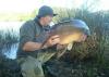 Карп - рыбалка (фотоальбом)