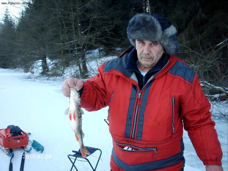 --08.02.2014. - ������� (����������)