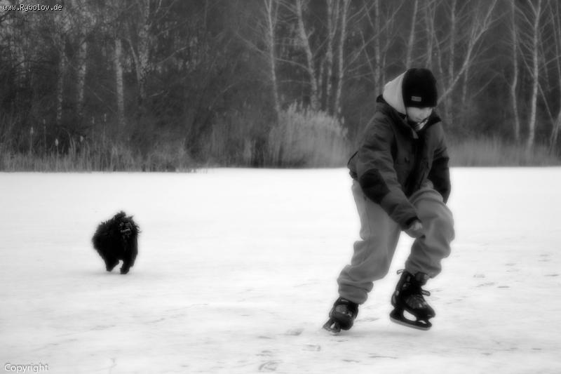 --Germany_2012 -  ()