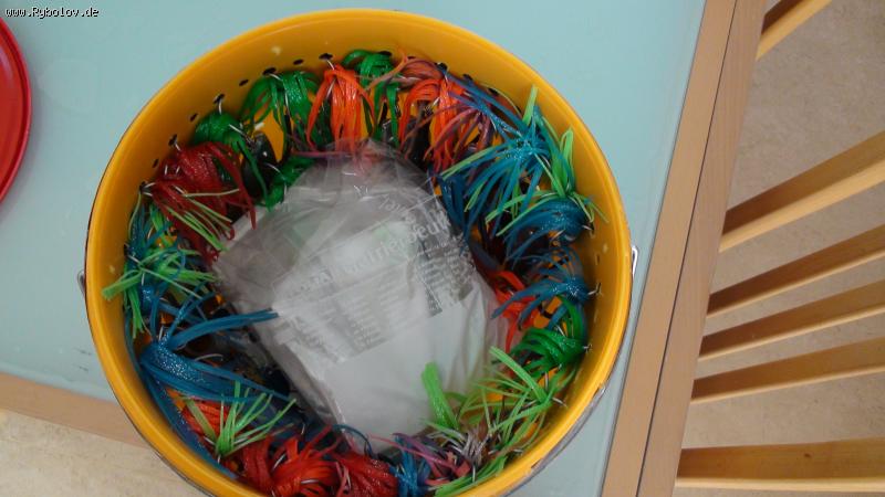 --Ведро для Пилек. - рыбалка (фотоальбом)