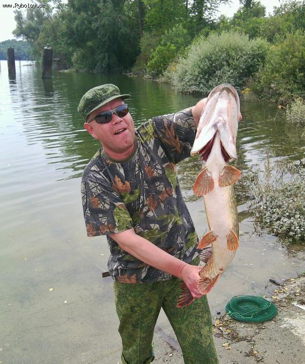 --���� 5,380 �� - ������� (����������)