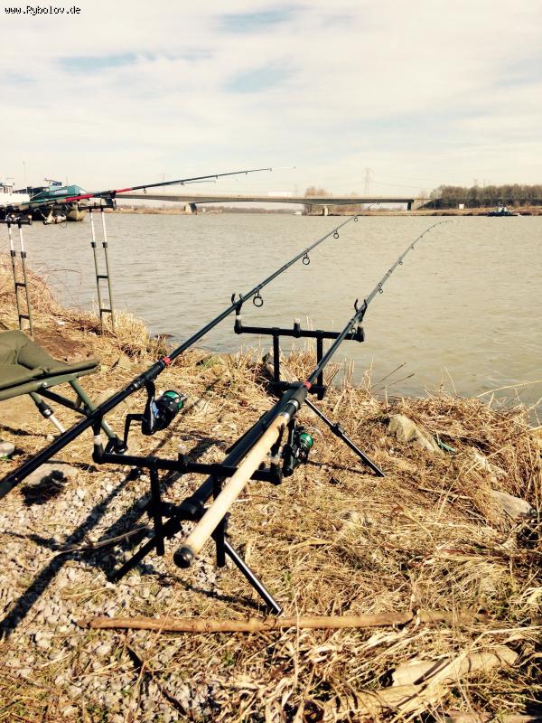 --Rod pod -  ()