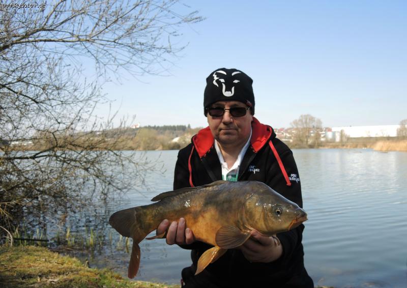 --�������� ������ 2015 - ������� (����������)