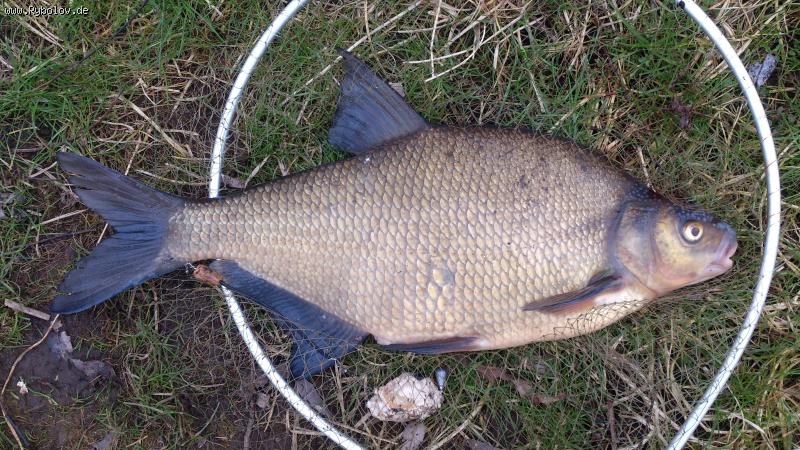 --��������� ��� - ������� (����������)