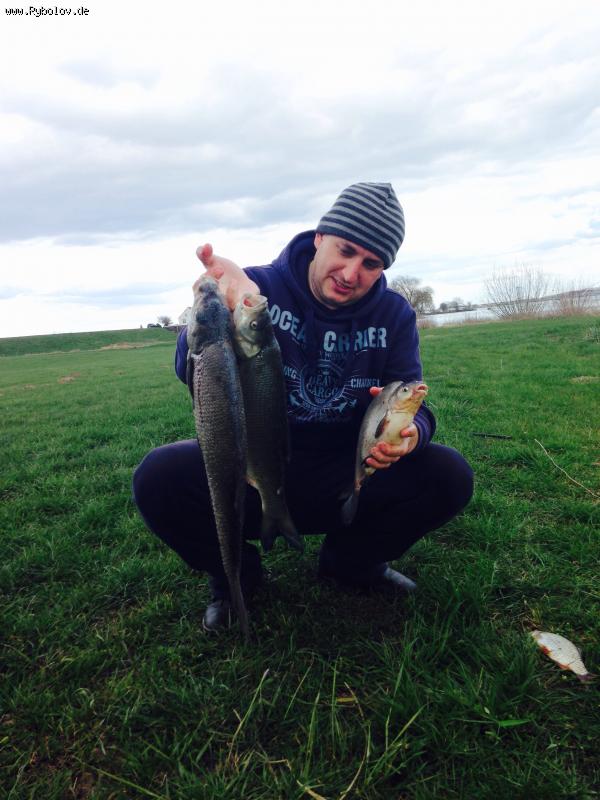 --��������� 05.04.2015 - ������� (����������)