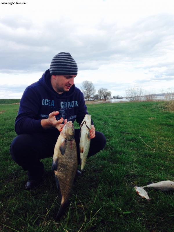 --��������� 05.04.2015 - ������� (����������)