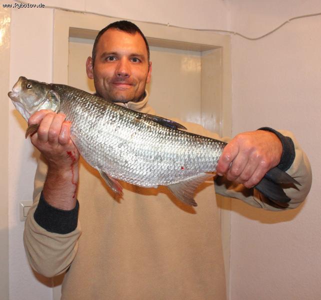 --zereh 3kg,pojman na rheine - ������� (����������)