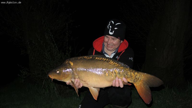 --�������� ���� - ������� (����������)