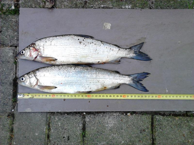 --Marene-Möhnesee 02.05.15 - ������� (����������)