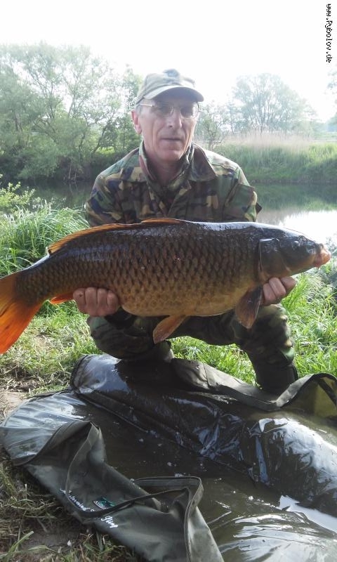 --���� 12,6�� - ������� (����������)