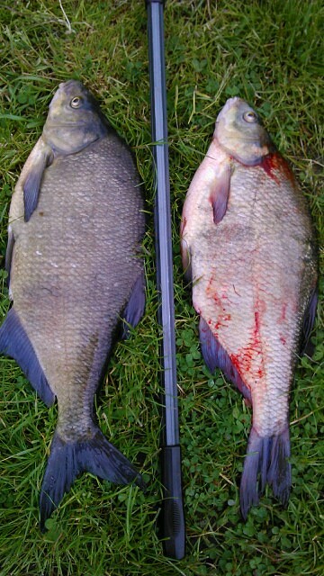 --��� - ������� (����������)