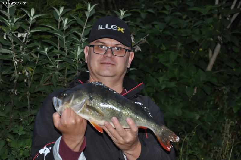 --Barsch 42 cm. Edersee 31.05.15 -  ()