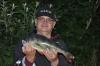 Barsch 42 cm. Edersee 31.05.15 -  ()