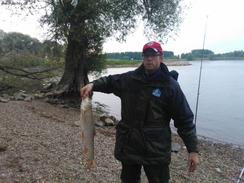 --Barbe �� ����� - ������� (����������)