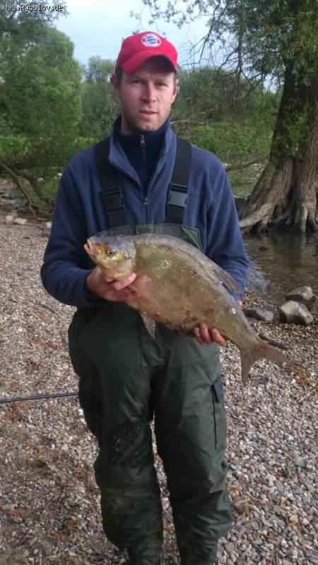 --��� - ������� (����������)