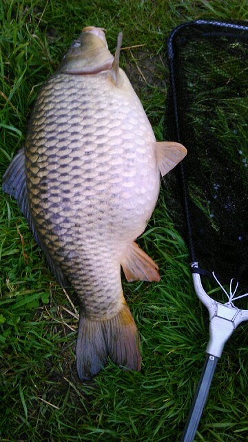 --���� - ������� (����������)