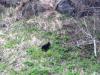 ������� �� �������... - ������� (����������)
