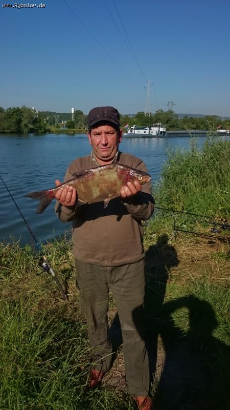 --��� 2,800��. - ������� (����������)