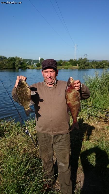 --Frankreich 4,06,15, - ������� (����������)