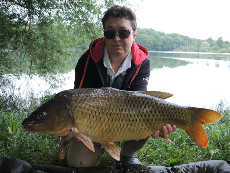 --���� - ������� (����������)