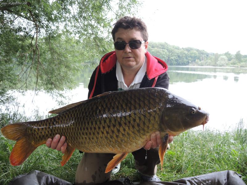 --���� - ������� (����������)