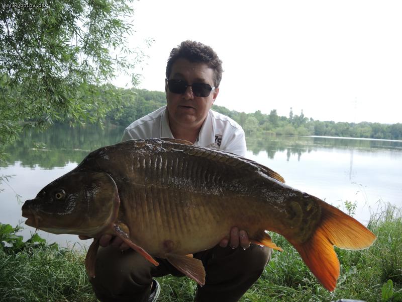 --���� - ������� (����������)